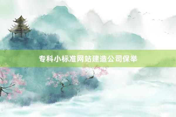 专科小标准网站建造公司保举